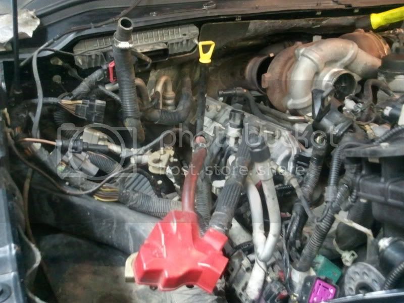 2011-05-26130617.jpg