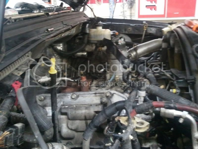 2011-05-26184334.jpg