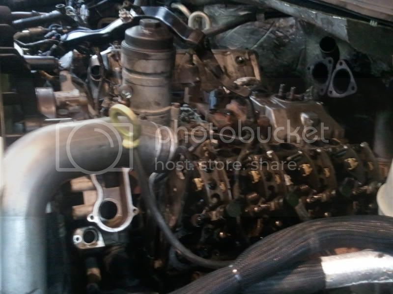 2011-05-26184409.jpg