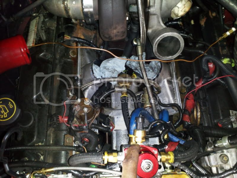 2011-08-14114611.jpg