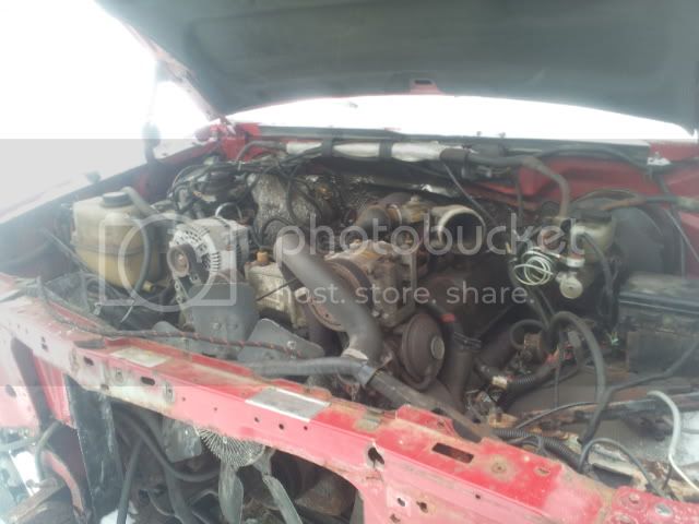 2012-01-22142138.jpg