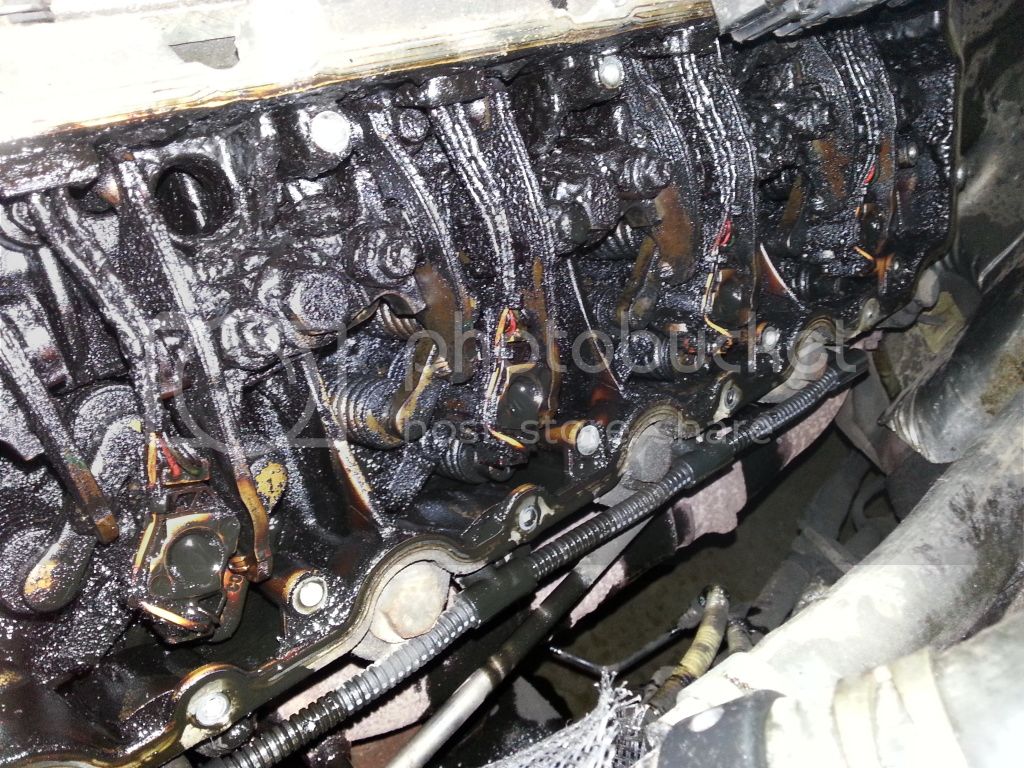 20130411_104208_zps9bebdaef.jpg