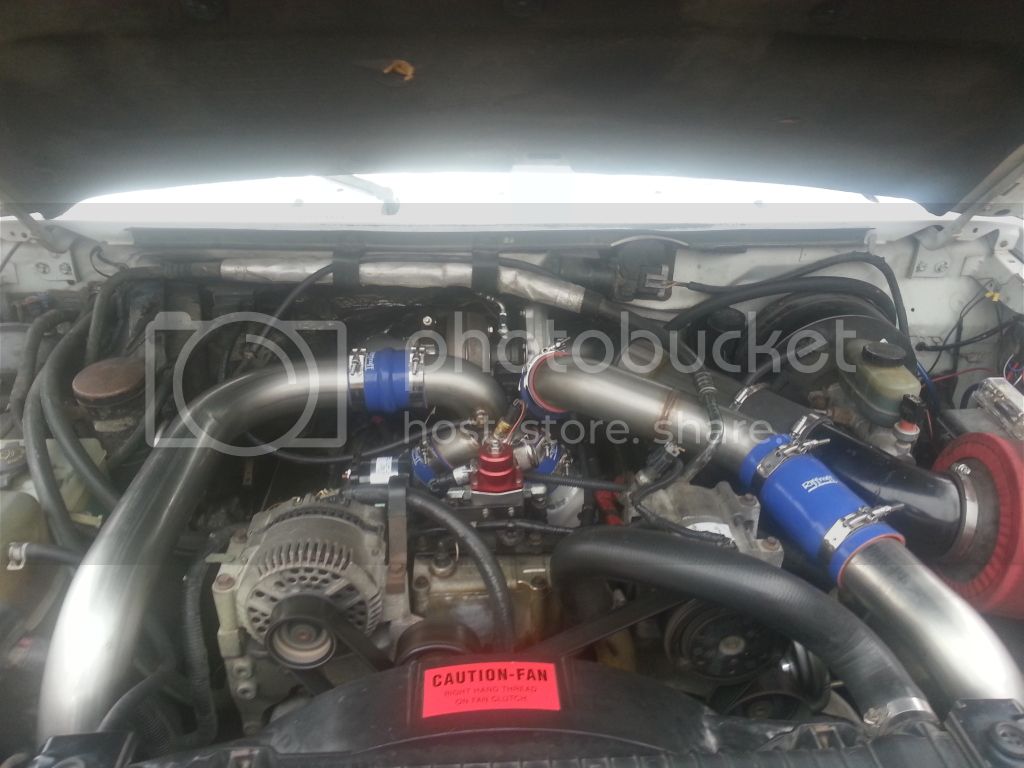 20131123_140601_zpsa827cb1b.jpg