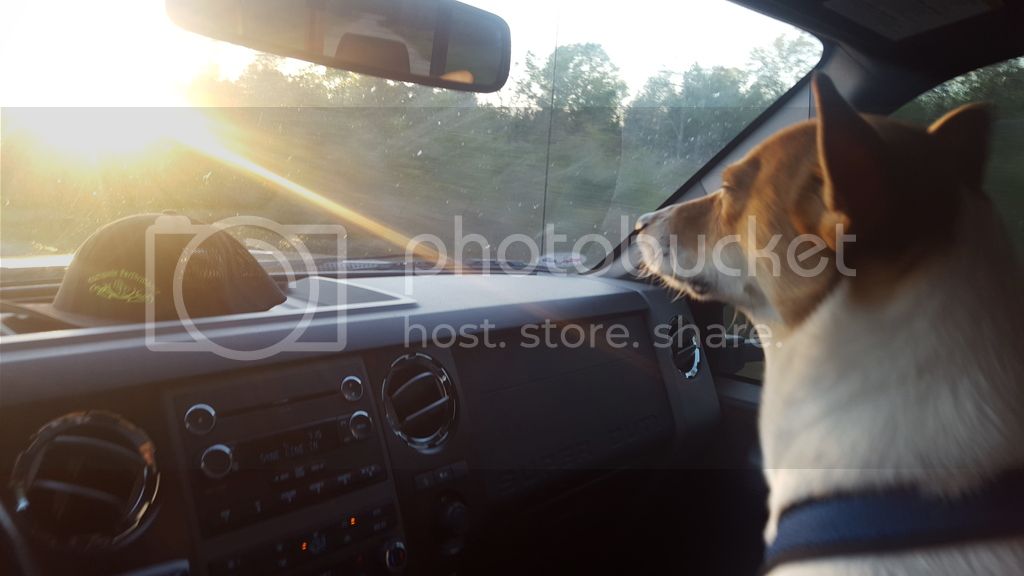 20160324_191702_zps3vyoslfj.jpg