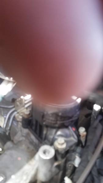 20161122_112036.jpg