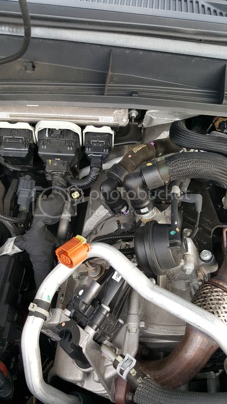 20170120_153645_zps8etlsiqu.jpg