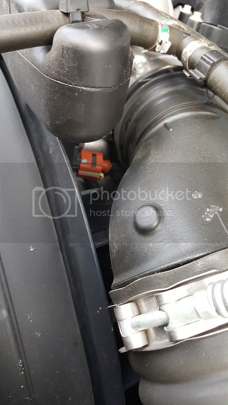 20170120_153656_zpszetq9tf9.jpg