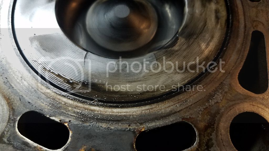 20170325_210619_zpswugiiplt.jpg
