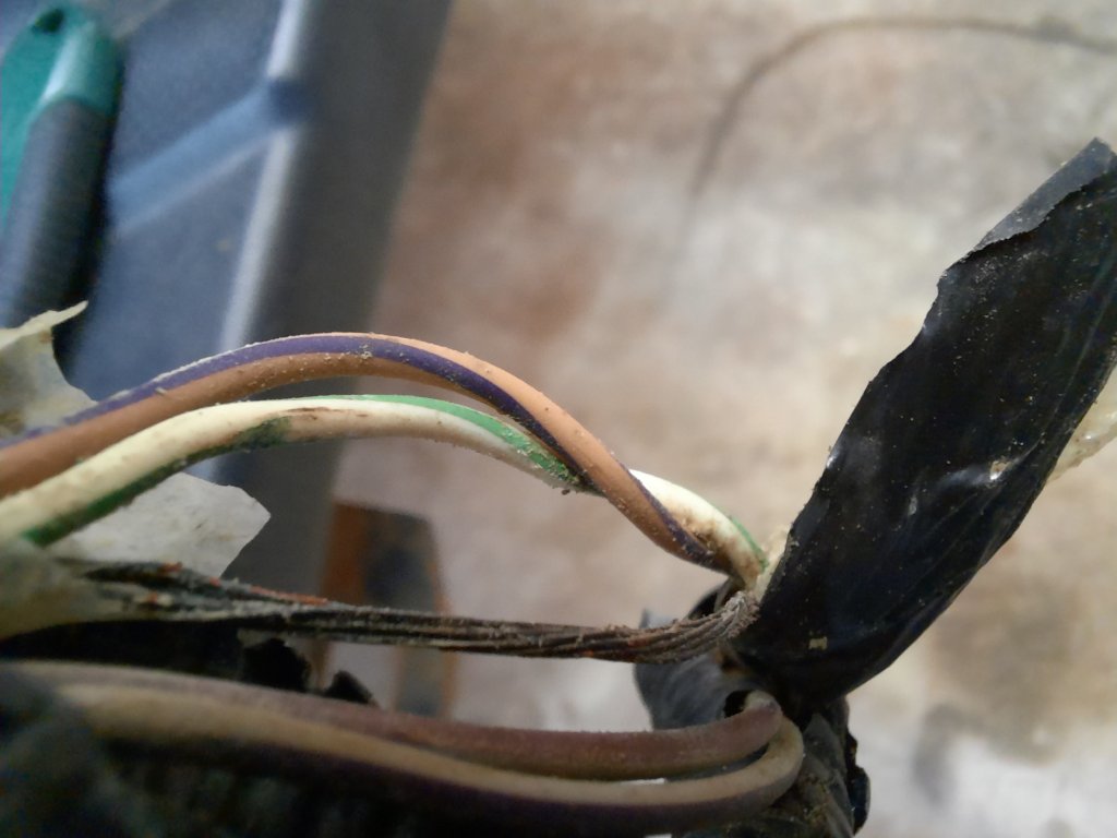20230519_174145.jpg
