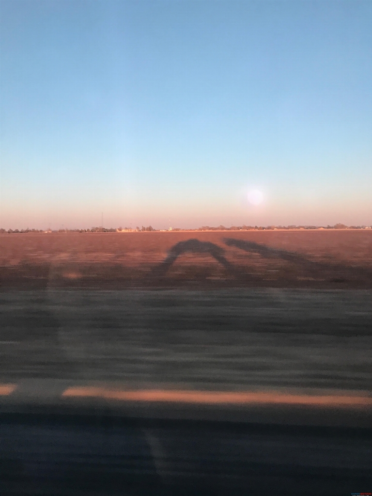 20250224001.jpg