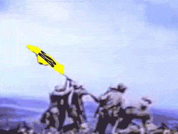7300663784.gif