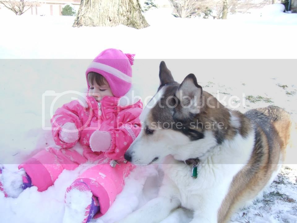 87b74a79188bd1d7041e8dad6c7cc419_zps5e6ea7fc.jpg