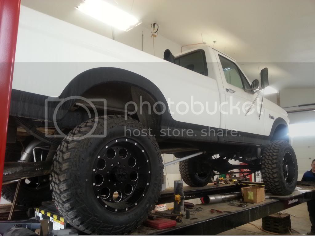 95f3501.jpg