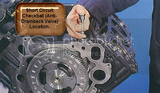 Anti-DrainBackValve.png