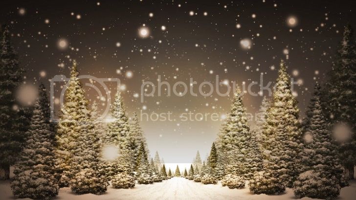 as-Trees-in-Snow_FullHDWppcom_-728x409_zps9ed13cf4.jpg