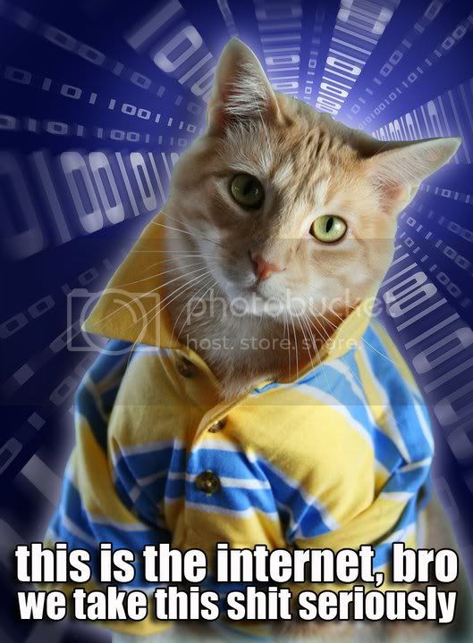 bro-cat.jpg