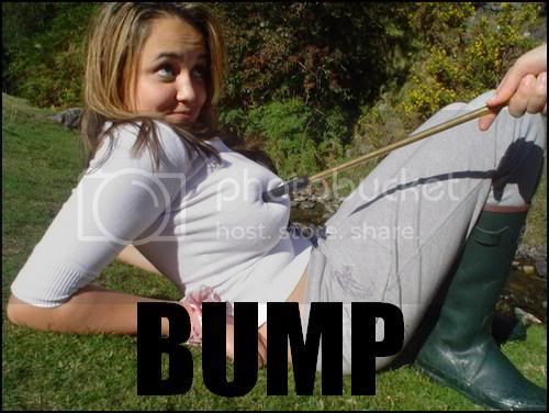 BUMP.jpg