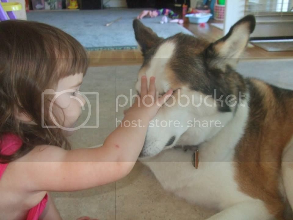 c71a6d8ed393b197d934f7e6000505cb_zps8ac4ab62.jpg