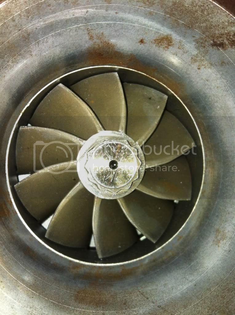 cd9a1d15.jpg