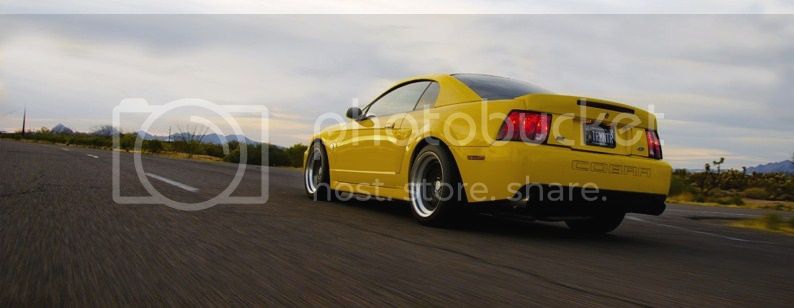 Cobra_Jeff_03_zps0c8c742e.jpg