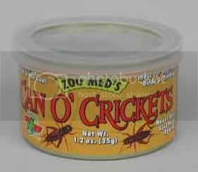 crickets.jpg
