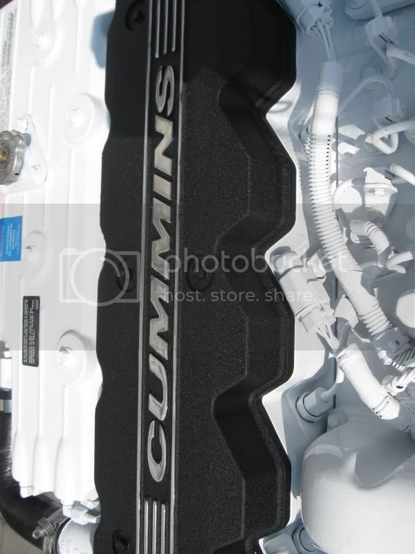 cummins_01.jpg