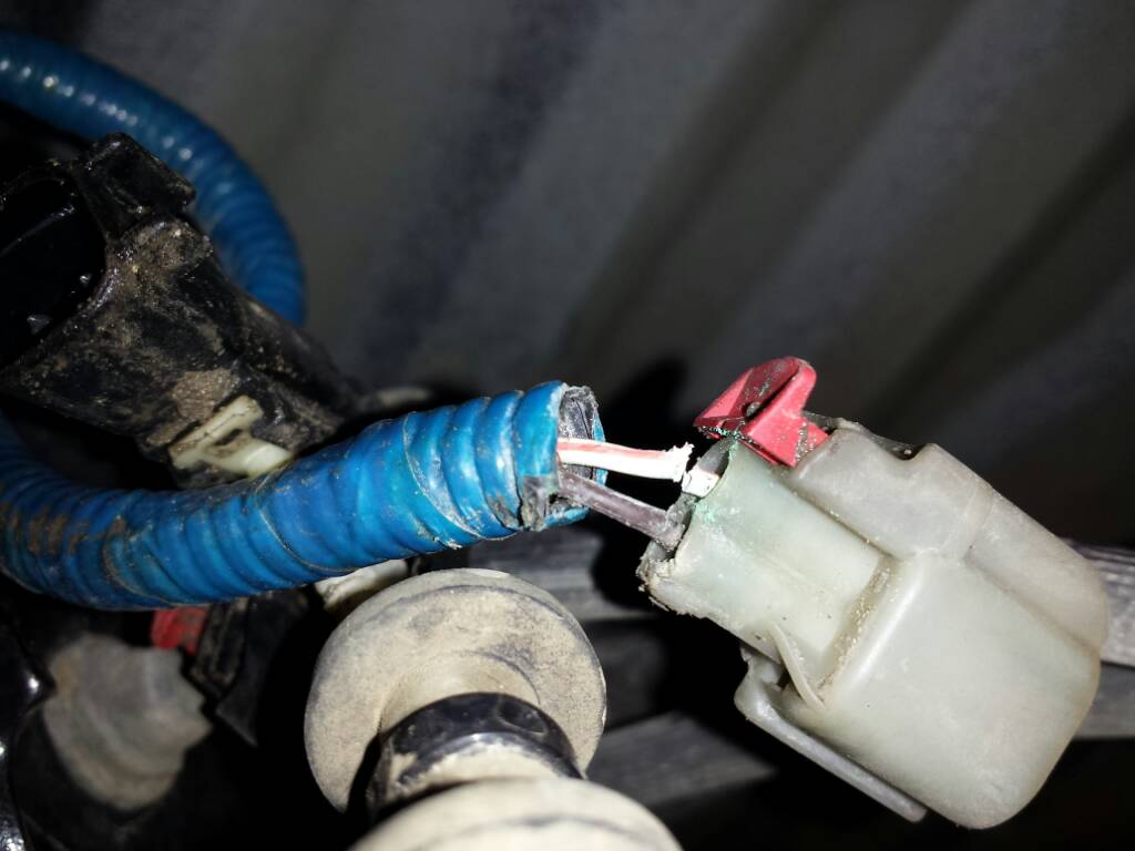 d83c40bac8982a24e1e4d7937fe315e9.jpg
