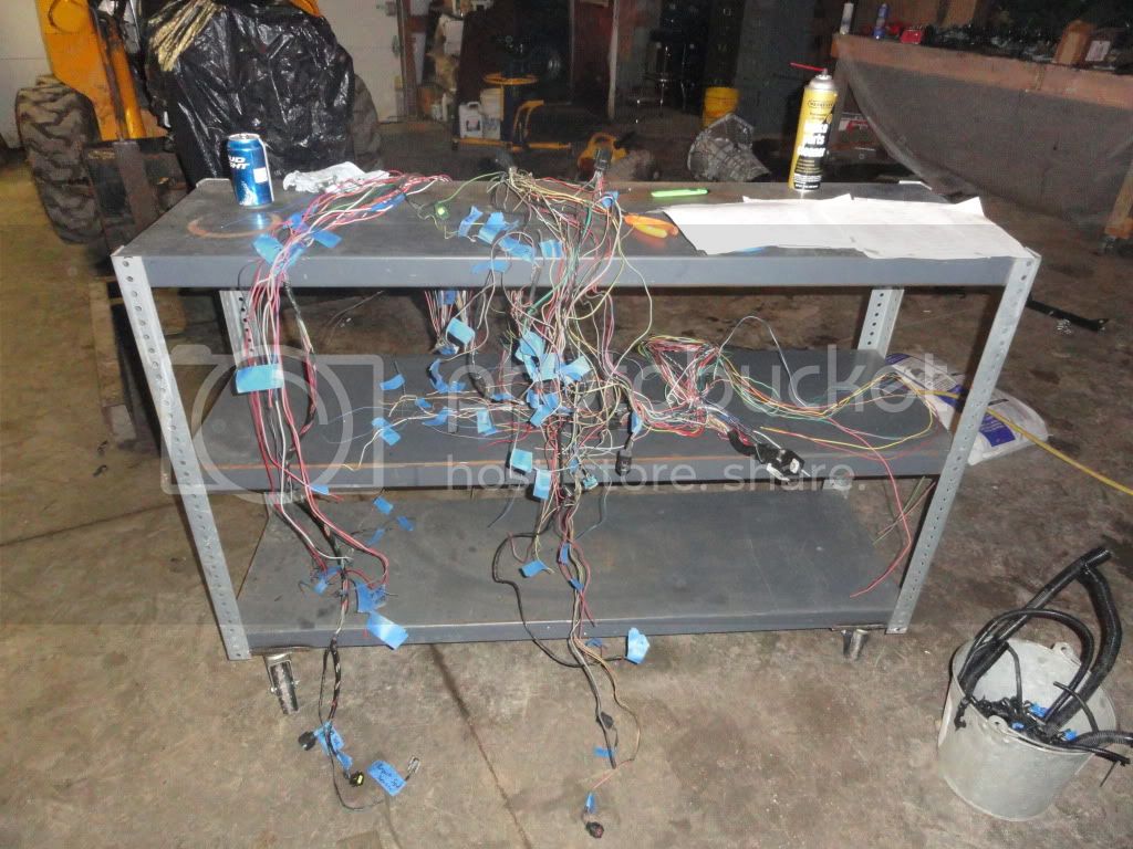 DSC01197.jpg