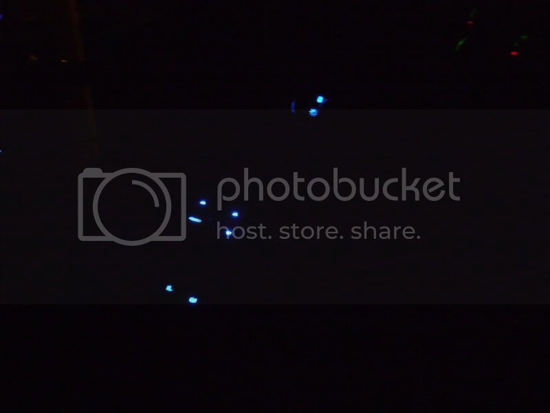 DSC01366.jpg