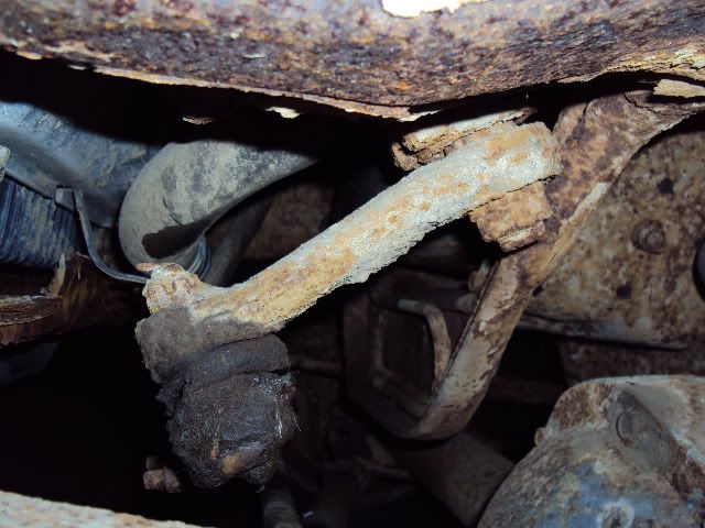 DSC01565.jpg