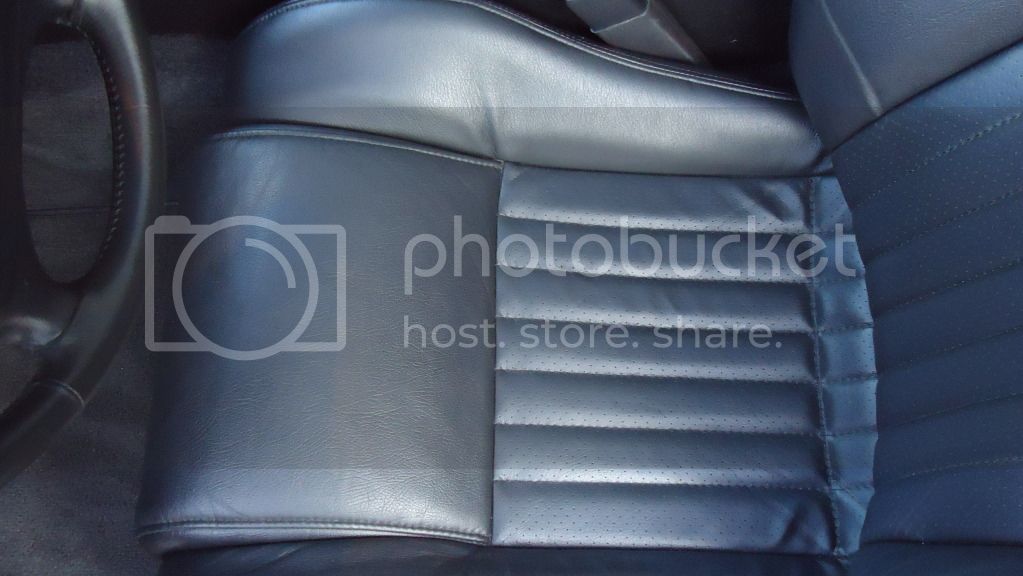 DSC03487.jpg