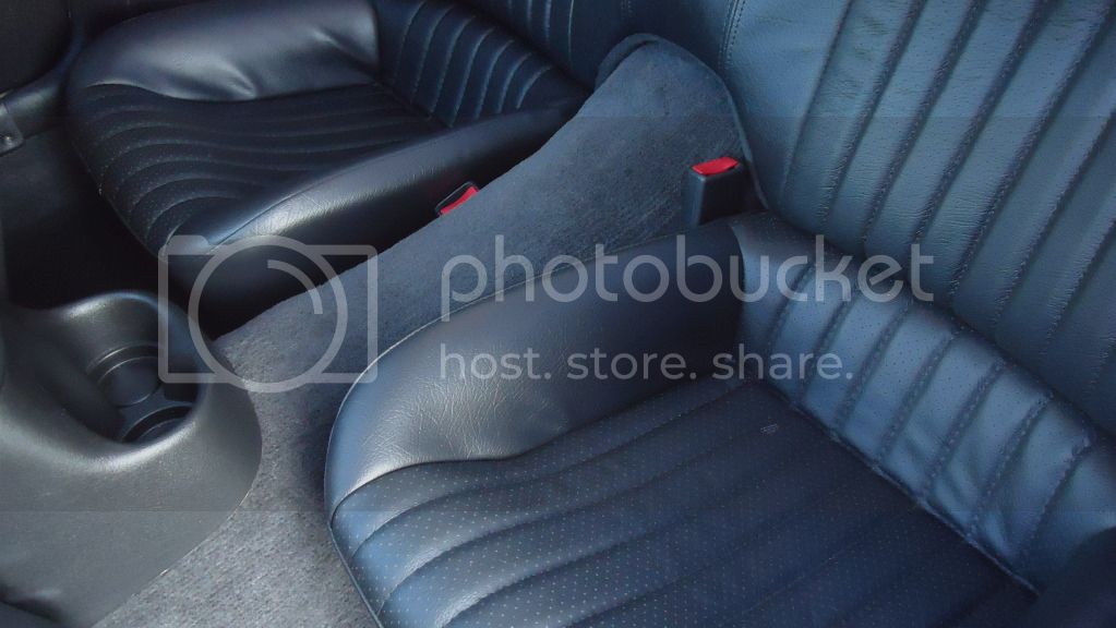 DSC03488.jpg
