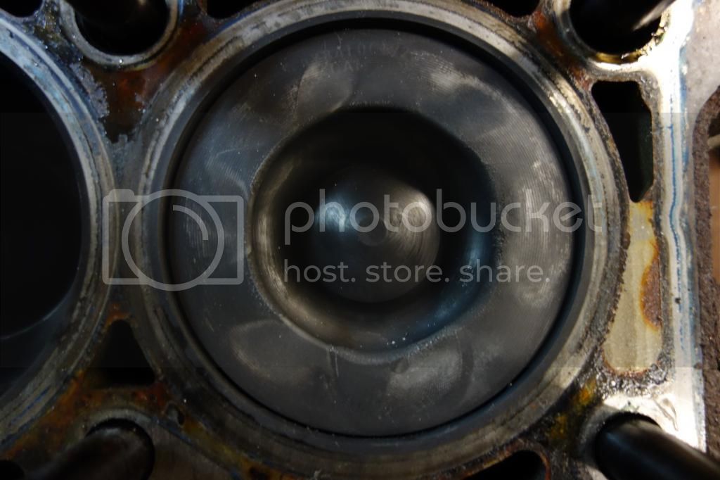 DSC03635_zps5adc00de.jpg