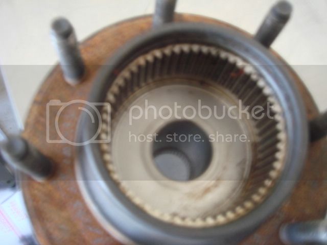 DSC07930.jpg