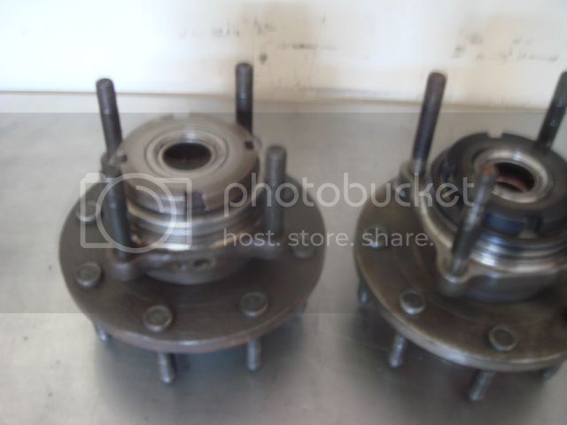 DSC07931.jpg