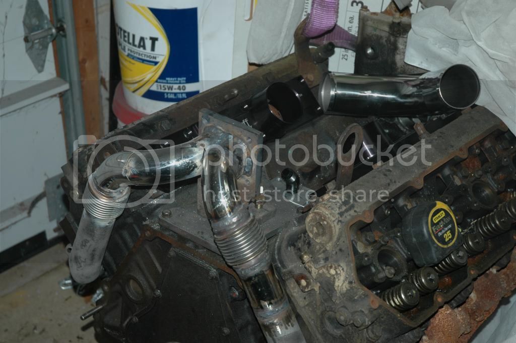 DSC_0101_zpskvgm1fds.jpg