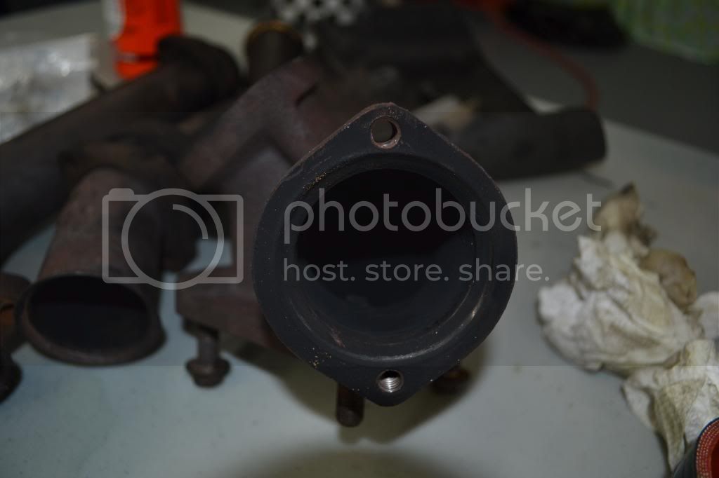 DSC_0142_zps6fd17e4e.jpg