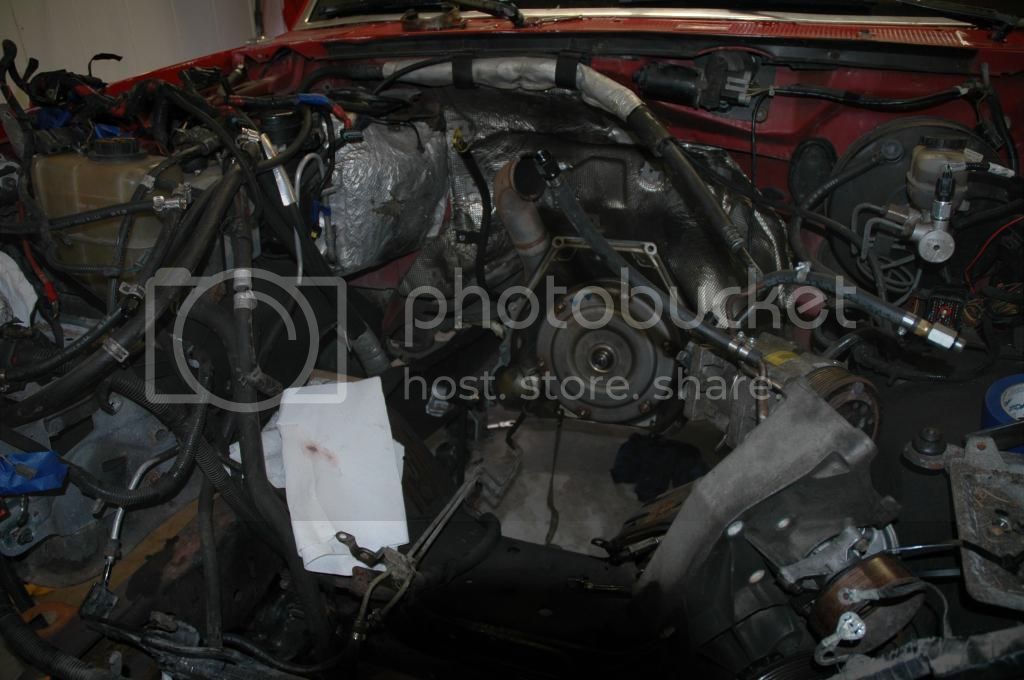 DSC_0143_zpsdykgd6oq.jpg