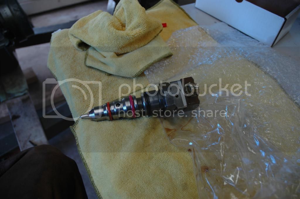 DSC_0222_zpshmgjssmp.jpg