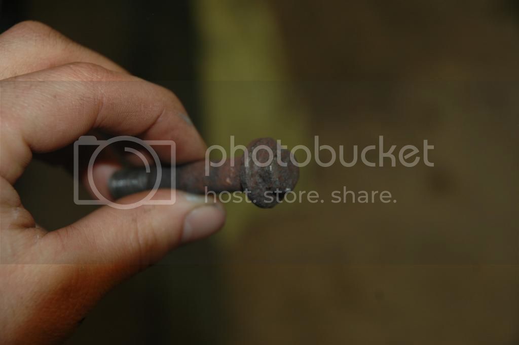 DSC_0232_zpslqxnuzlz.jpg
