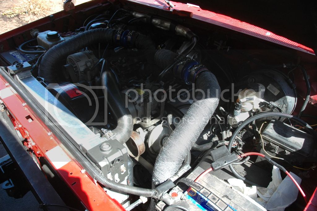 DSC_0262_zpsarvnbvr3.jpg