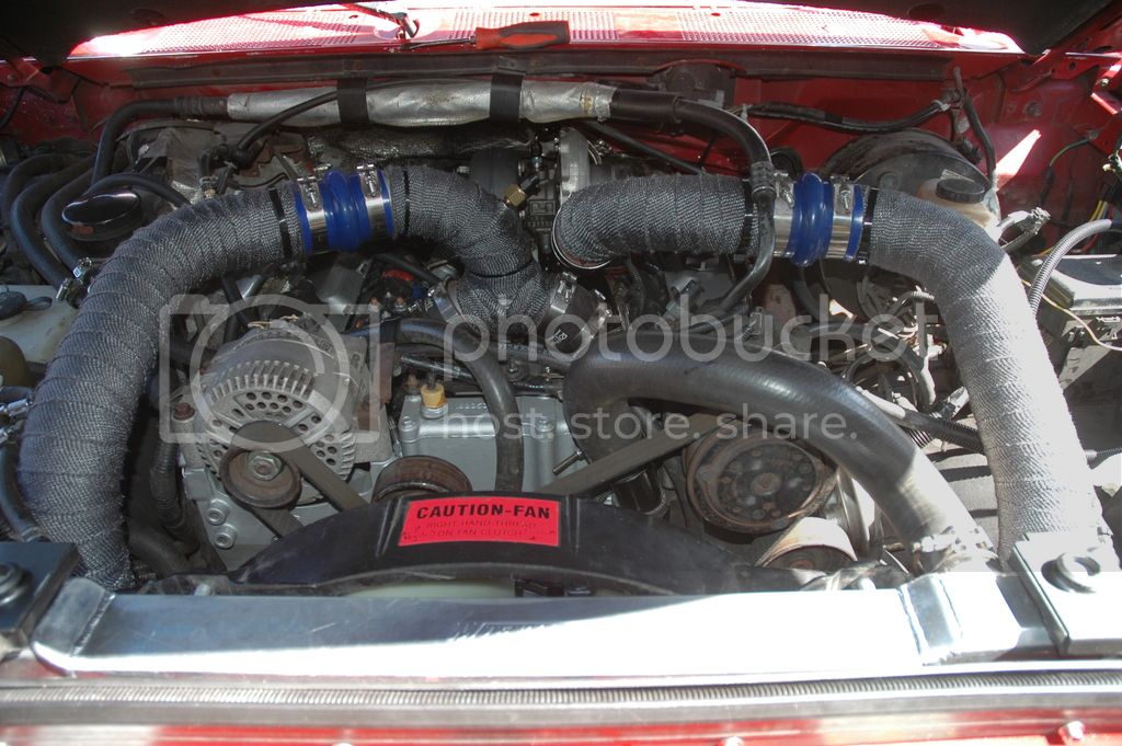 DSC_0263_zpshrmr00rk.jpg