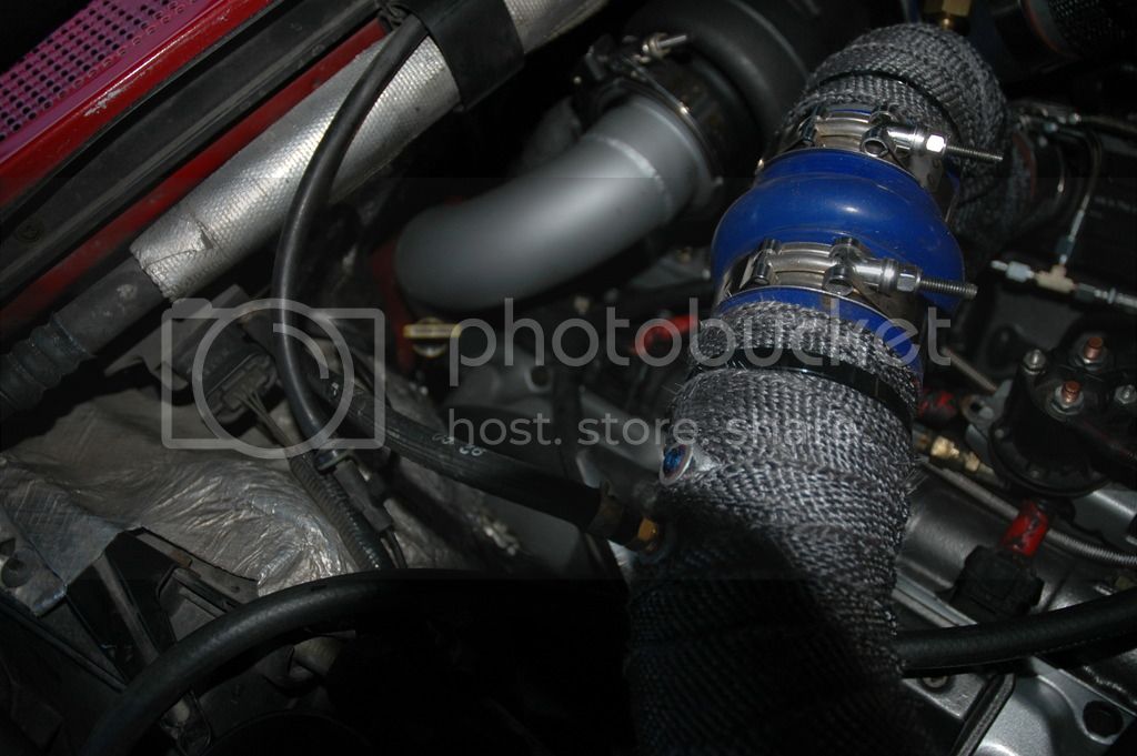 DSC_0268_zpszxhzdhl3.jpg