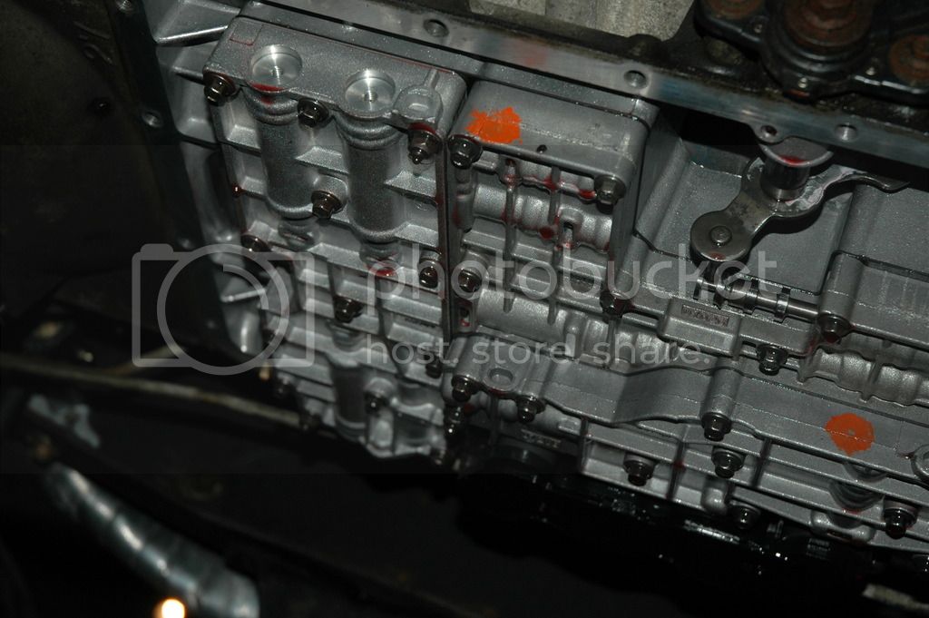 DSC_0282_zpsg8xd5dok.jpg