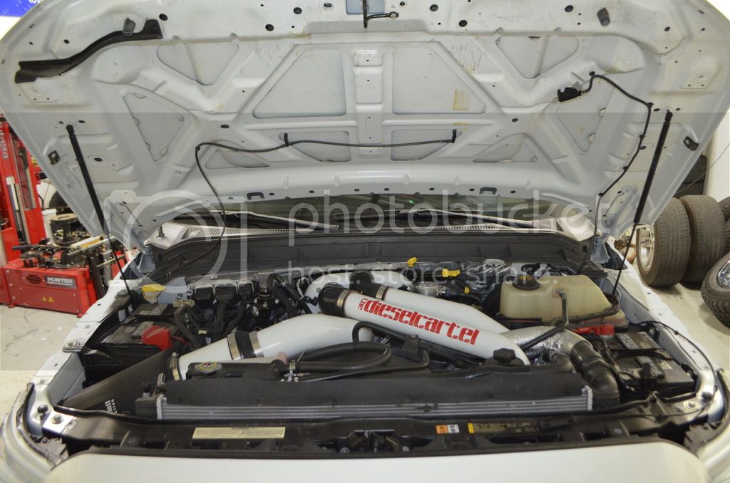 DSC_0704_zpshc4lwoen.jpg