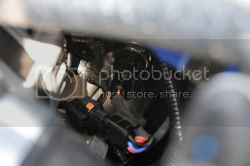 DSC_1669.jpg