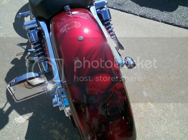 harley.jpg