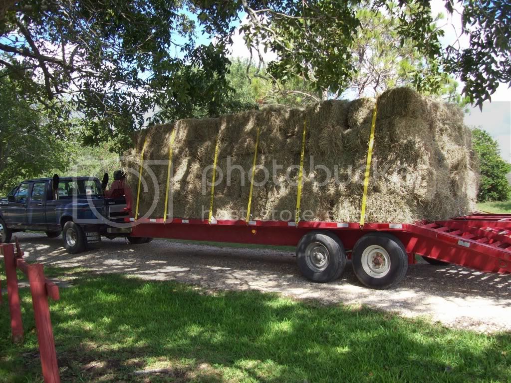 haulin002.jpg