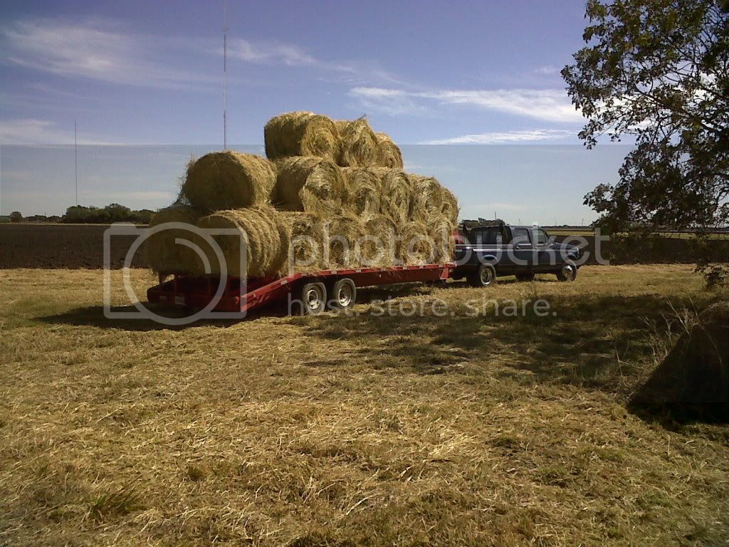 haulinghay11-9-11001-1.jpg