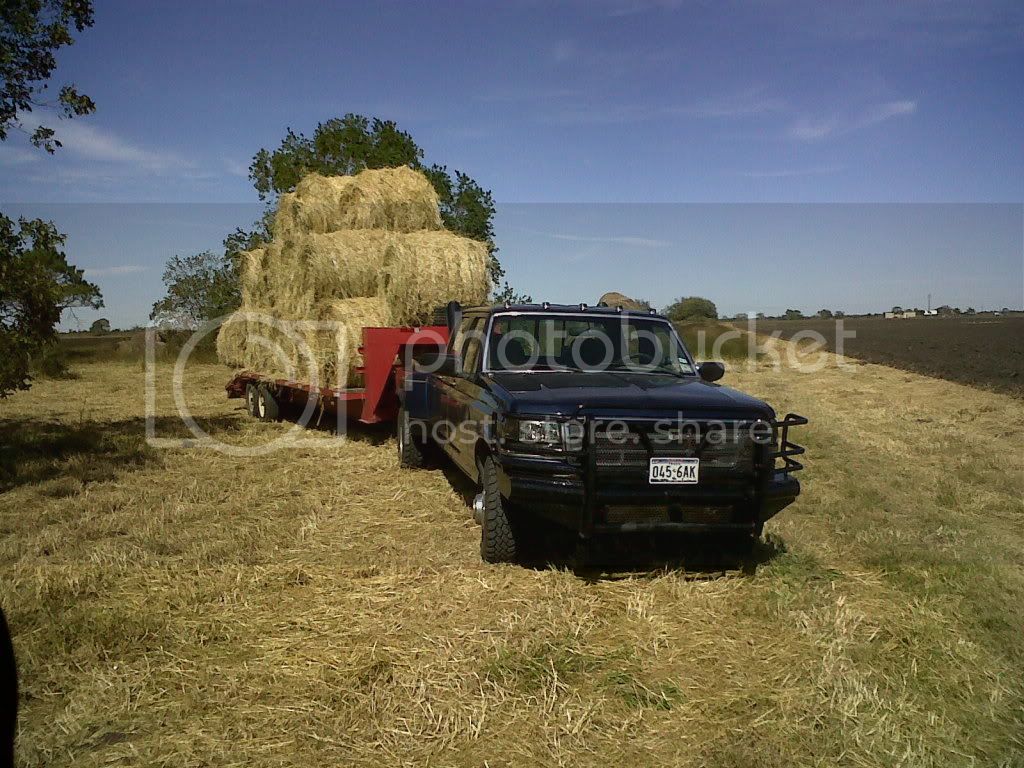 haulinghay11-9-11002-1.jpg